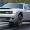 bumblebee_127b