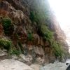 naif_15001500
