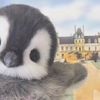 penguinsarethebest2