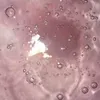 jjr_kry2