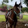 leo_ortiz111