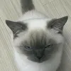 __itsnaya