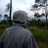 mettwehh4