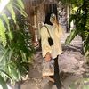 anisasary12