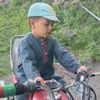 qarib215
