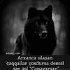 sabirabadrayonu054