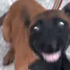 huyhuycutigfgf