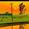 najim.uddin3781