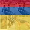 distefanogianfran