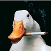 flopponski