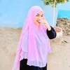 hassna_amr