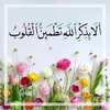 userw4ih89uckv