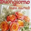 user646017731