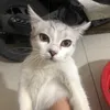 hhhehehi23