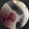 f4teema_
