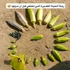 خلاني مقهور