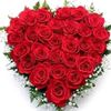 user202919233