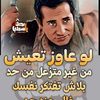 zeyadseleem679