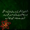 m.ibrahim781730