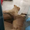 lunita.panchito_50