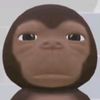 monyet_amazon_no1