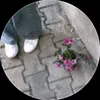 ruqayyah0511