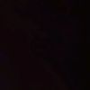 flor._2021