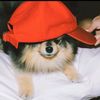 nuna_nas