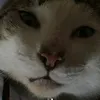 lw.spkyi