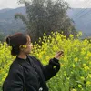 hmong.lc