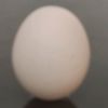 jal23901449gmailc
