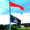 wolesaelur