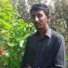 shazadwattoo12