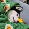 vientamthantrunguong