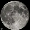 la_enana7878