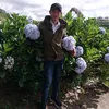 thanhnguyenlavi