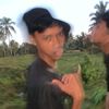 pirlisetengahrolas