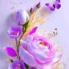 mohammedkuwait8433