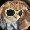 _herbie.day_
