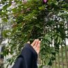_salma855