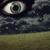 crocodileeye