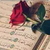 noor_al.zahraa19