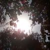 user4806200203246