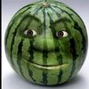 haluca_42