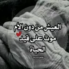 user7901870605691