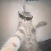 r3yyan_ahmed14