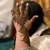 sarachebani