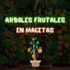 Árboles Frutales en Macetas