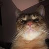 ppawmpkin37
