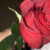 __ilyas__arij__